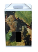 Weintrageverpackung "Rebe"